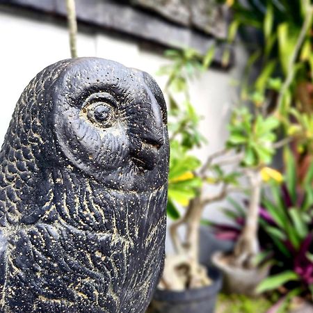 Panda Lumbung Bed & Breakfast Sanur  Exterior photo